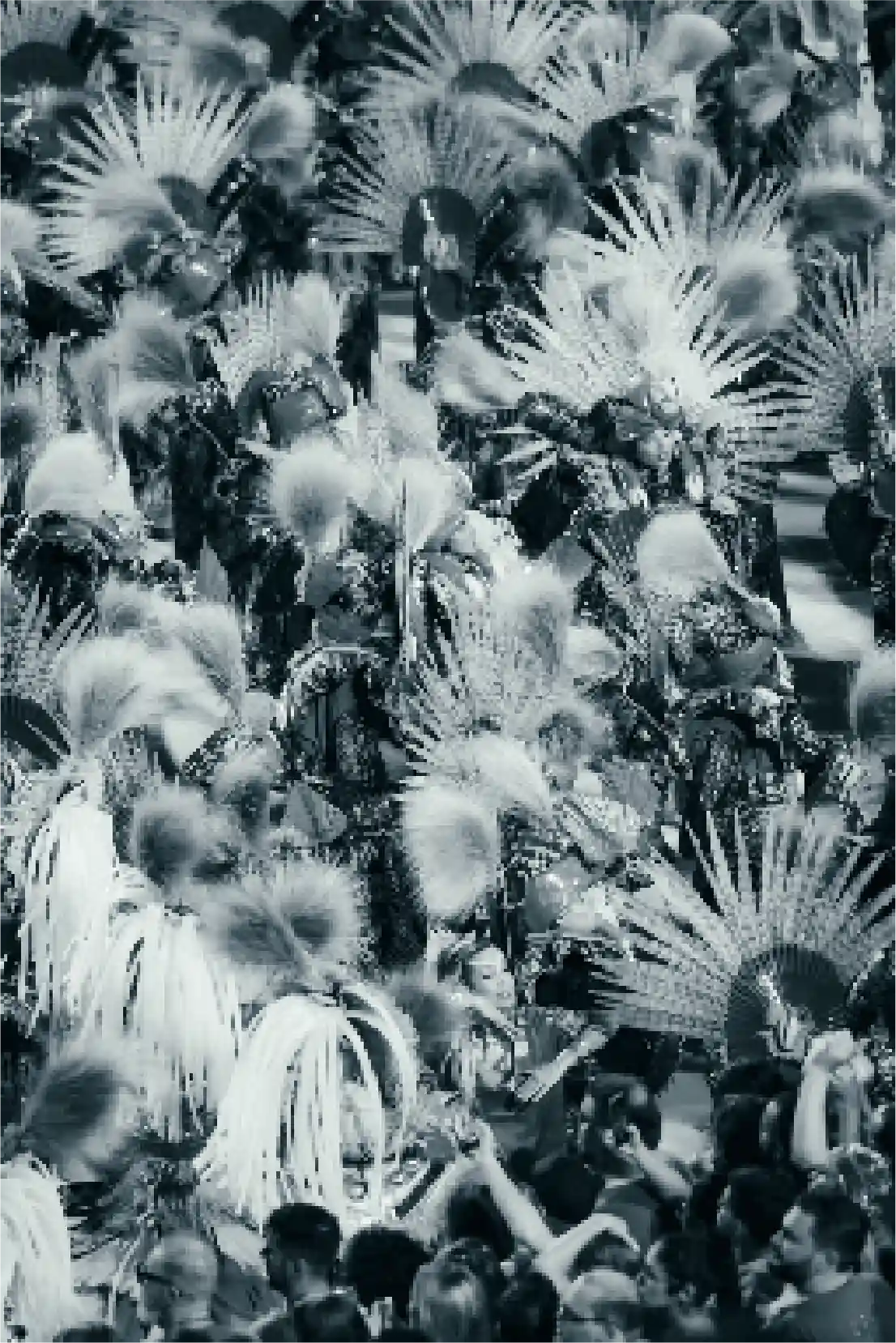 Foliões no desfile